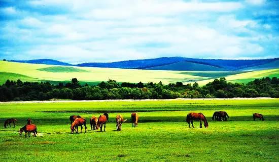 內(nèi)蒙古草原之美與文化魅力的獨(dú)特展現(xiàn)