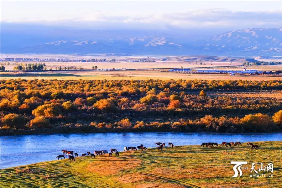 新疆，神秘美麗的土地??