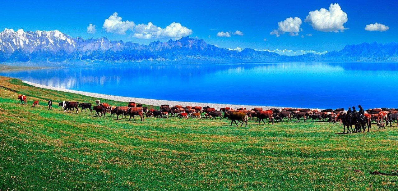 穿越新疆，心靈之旅的足跡