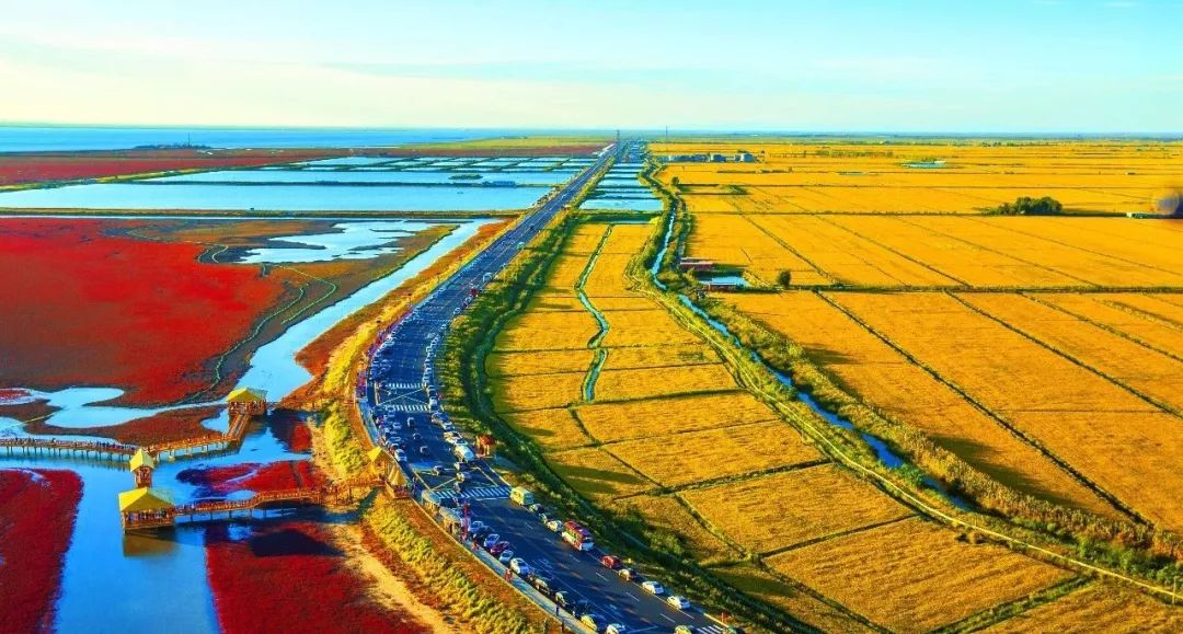 盤(pán)錦深度體驗(yàn)之旅，感悟與行記